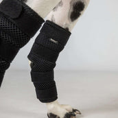 Back on Track Protector de corvejón Dixie Perro Negro Back on Track Protector de corvejón Dixie Perro Negro
