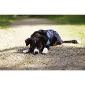 Back on Track Enfriamiento de espalda Azul Back on Track Enfriamiento de espalda Azul