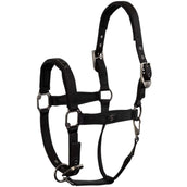 BR Cabezada CLX Meteorite BR Cabezada CLX Meteorite