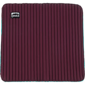 Eskadron Vendajes Climatex Blackberry Eskadron Vendajes Climatex Blackberry