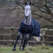 Bucas Trotting Turnout 200g Negro/Blanco Bucas Trotting Turnout 200g Negro/Blanco