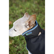 Bucas Anniversary Dog Rug Sapphire Bucas Anniversary Dog Rug Sapphire