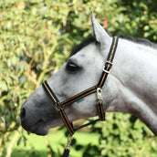 Bucas Cabezada Dublin Negro/Oro Bucas Cabezada Dublin Negro/Oro