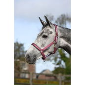 Bucas Cabezada Dublin Potro Frambuesa Bucas Cabezada Dublin Potro Frambuesa