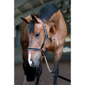 Bucas Stallion Chain Lead Black/Silver Bucas Stallion Chain Lead Black/Silver