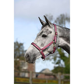 Bucas Cabezada Dublin Potro Frambuesa Bucas Cabezada Dublin Potro Frambuesa