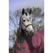 Bucas Cabezada Dublin Potro Frambuesa Bucas Cabezada Dublin Potro Frambuesa