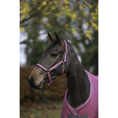 Bucas Cabezada Dublin Potro Frambuesa Bucas Cabezada Dublin Potro Frambuesa