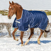 Bucas Turnout Freedom High Neck 150g Navy/Plata Bucas Turnout Freedom High Neck 150g Navy/Plata