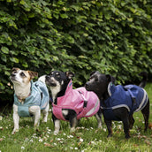 Bucas Freedom Dog Rug Turquoise Bucas Freedom Dog Rug Turquoise