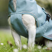 Bucas Freedom Dog Rug Turquoise Bucas Freedom Dog Rug Turquoise