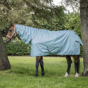 Bucas Cabezada Dublin Potro Turquoise Bucas Cabezada Dublin Potro Turquoise