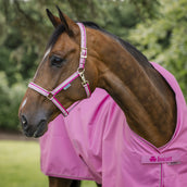 Bucas Cabezada Dublin Aurora Pink Bucas Cabezada Dublin Aurora Pink