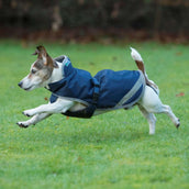 Bucas Freedom Dog Rug 150g Navy Bucas Freedom Dog Rug 150g Navy