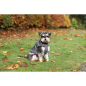 Bucas Freedom Dog Rug 300gr Smoke Grey Bucas Freedom Dog Rug 300gr Smoke Grey