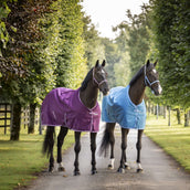 Bucas Freedom Turnout Light 0g Blueberry Bucas Freedom Turnout Light 0g Blueberry