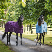 Bucas Freedom Turnout Light 0g Blackberry Bucas Freedom Turnout Light 0g Blackberry