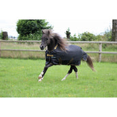 Bucas Irish Turnout 100g Negro/Oro Bucas Irish Turnout 100g Negro/Oro