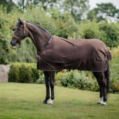 Bucas Irish Turnout 300g con cuello Espresso Bucas Irish Turnout 300g con cuello Espresso