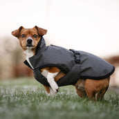 Bucas Dog Rug Reflectglow Reflectglow Bucas Dog Rug Reflectglow Reflectglow