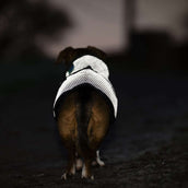 Bucas Dog Rug Reflectglow Reflectglow Bucas Dog Rug Reflectglow Reflectglow