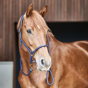 Catago Cabezada de Cuero Navy Catago Cabezada de Cuero Navy