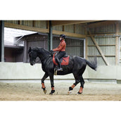 Covalliero Protectores de piernas AW25 Oxido Covalliero Protectores de piernas AW25 Oxido