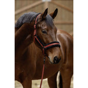 Covalliero Cabezada AW25 Oxido Covalliero Cabezada AW25 Oxido