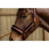 Covalliero Cabezada AW25 Oxido Covalliero Cabezada AW25 Oxido