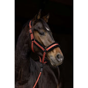 Covalliero Cabezada AW25 Oxido Covalliero Cabezada AW25 Oxido