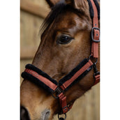 Covalliero Cabezada AW25 Oxido Covalliero Cabezada AW25 Oxido