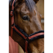 Covalliero Cabezada AW25 Oxido Covalliero Cabezada AW25 Oxido