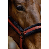 Covalliero Cabezada AW25 Oxido Covalliero Cabezada AW25 Oxido