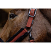 Covalliero Cabezada AW25 Oxido Covalliero Cabezada AW25 Oxido