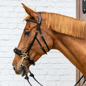 Dyon Brida Hackamore Negro Dyon Brida Hackamore Negro