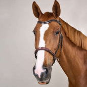 Dyon Brida sin Bocado 140,0 Marron Dyon Brida sin Bocado 140,0 Marron