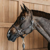 Dyon Cabestro Plaited Marron Dyon Cabestro Plaited Marron