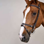 Dyon Brida Training Marron Dyon Brida Training Marron