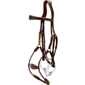 Dyon Brida Elastic Hybrid Marron Dyon Brida Elastic Hybrid Marron