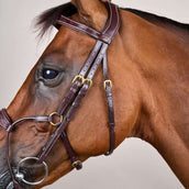 Dyon Brida Hybrid Marron Dyon Brida Hybrid Marron
