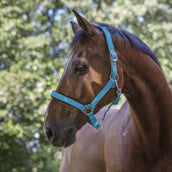 Norton Cabezada Fluo Elevado Azul Norton Cabezada Fluo Elevado Azul