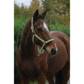 EQUITHÈME Cabestro Spring Nylon Verde claro EQUITHÈME Cabestro Spring Nylon Verde claro