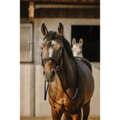 Eric Thomas Brida Work Negro Eric Thomas Brida Work Negro