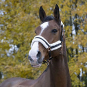 Norton Cabezada Confort Negro Norton Cabezada Confort Negro