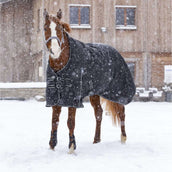 Riding World Alfombra de Exterior Oxford 220g Negro Riding World Alfombra de Exterior Oxford 220g Negro