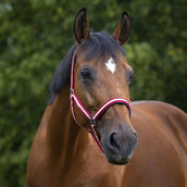 Norton Cabezada Forro de Neopreno Rojo/Ecru Norton Cabezada Forro de Neopreno Rojo/Ecru