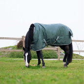 EQUITHÈME Alfombra de Exterior Tyrex 600D 300g Reciclado Verde EQUITHÈME Alfombra de Exterior Tyrex 600D 300g Reciclado Verde