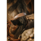 Eric Thomas Brida Work Habana Eric Thomas Brida Work Habana