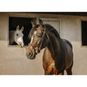 Eric Thomas Brida Crown Habana Eric Thomas Brida Crown Habana