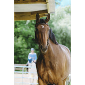 Norton Brida Freedom Habana Norton Brida Freedom Habana